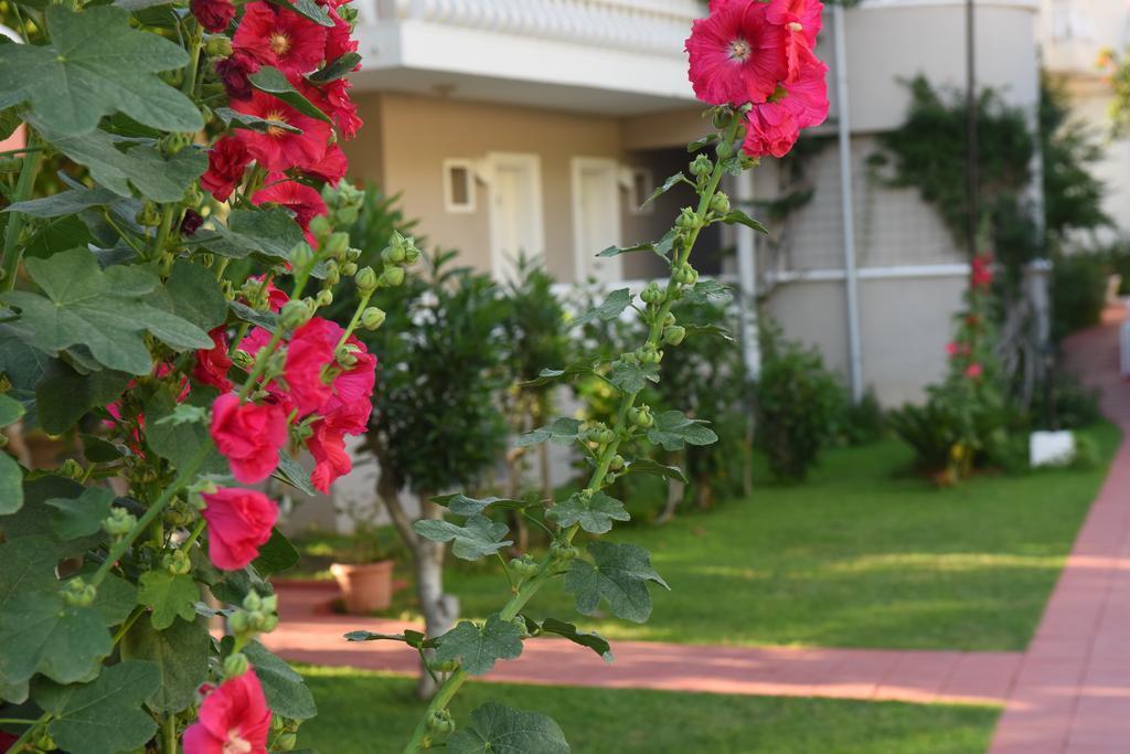 Oludeniz Turquoise Hotel Εξωτερικό φωτογραφία