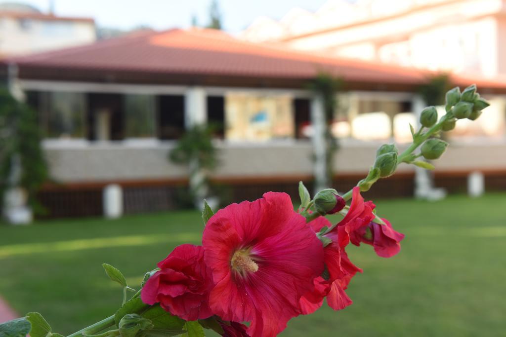 Oludeniz Turquoise Hotel Εξωτερικό φωτογραφία